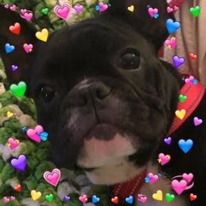 Meet your Posher, Tracey